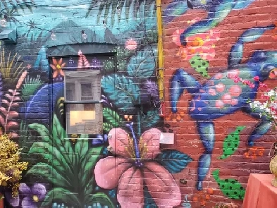 Belle chambre dans une communauté conviviale. Image# 1