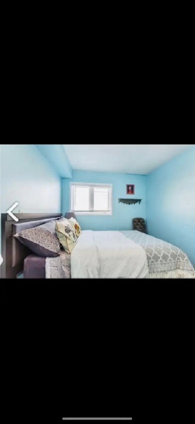 Clean, Bright and Beautiful Room at YORK U Image# 1