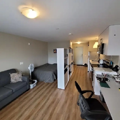 Bachelor apartment sublet or lease takeover,  available July 1st Image# 1