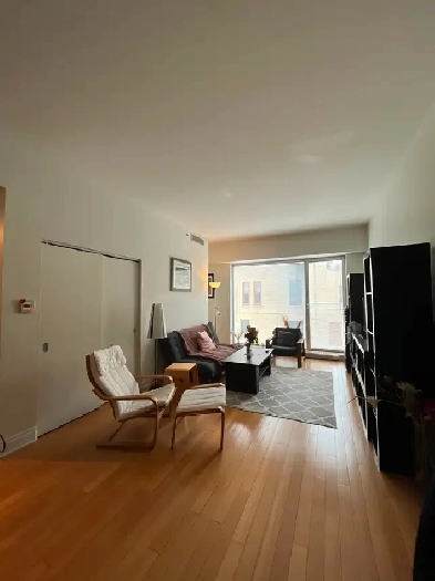 Apt for rent 1600$/ fully FURNISHED/ electricity wifi Included Image# 1