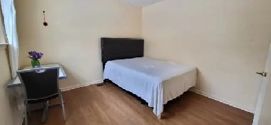 BASEMENT ROOM FOR RENT Image# 1