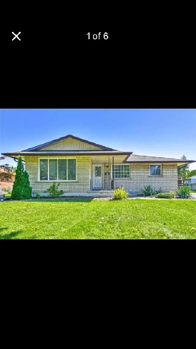 Male Student Housing 3 minutes from Niagara College Welland Image# 1