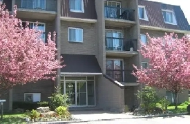 Beau et grand 4-1/2 (2 chambres) à Longueuil, 1595$ tout inclus Image# 5