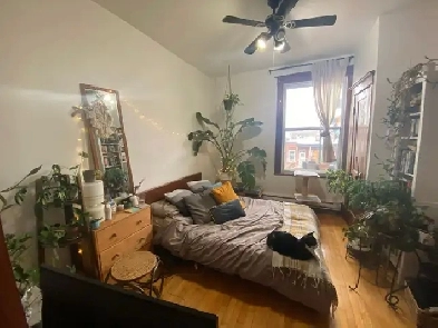 Chambre disponible à Villeray ! Available room in Villeray! Image# 1