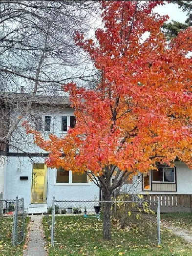 private room for rent Image# 1