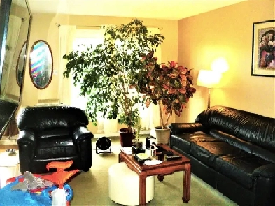 NIC EBRIGHT ROOM FOR  RENT LADIES ONLY, CLOSE TO MOHAWK COLLEGE Image# 1
