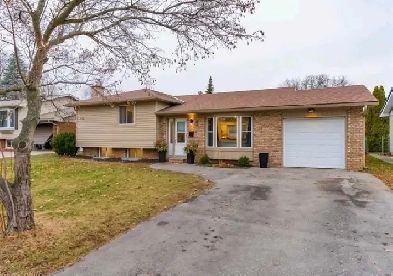 Room Rental Image# 1