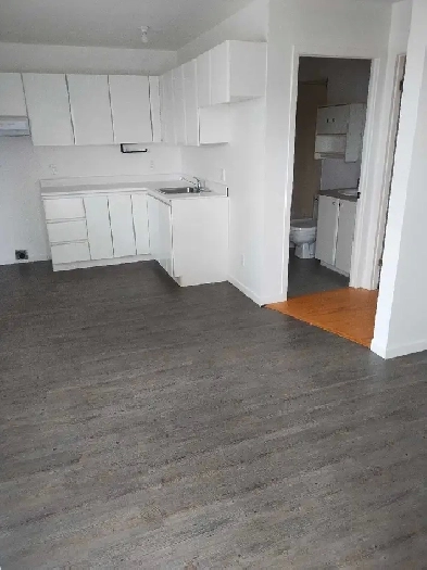 logement a louer 2 1/2 Rimouski Image# 2
