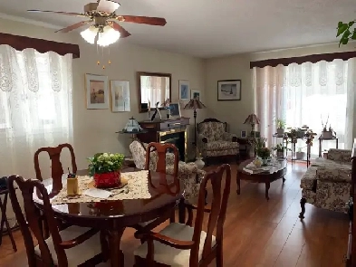Huge 3 bedrooms grout floor, grand 5 1/2, Gatineau Rez-de-chau Image# 4