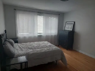 Room for Rent Image# 7