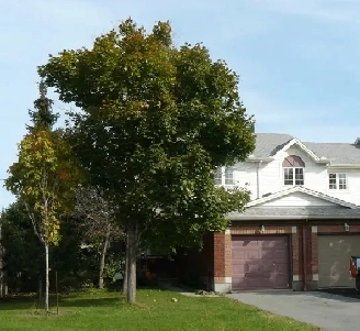 BEAUTIFUL END-UNIT TOWNHOME IN KANARA READY TO MOVE IN. Image# 1