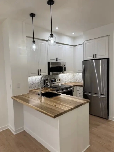 Spacious One Bedroom Apartment in the Heart of Downtown Image# 2