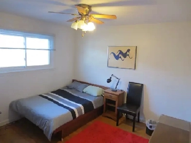 Very Nice Clean Room For Rent Near Algonquin College ! Image# 2