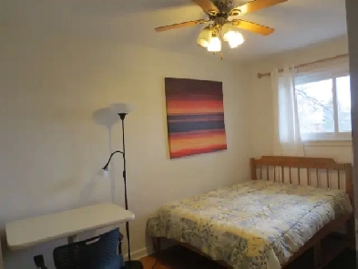 Clean Quiet Room Near Algonquin Amazing Place and Location ! Image# 2