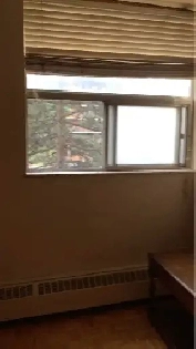 ROOM FOR RENT IN 2 BEDROOM APARTMENT ALL UTILITIES INCLUDED Image# 3