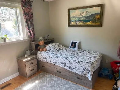 Nice, big room for rent Image# 1