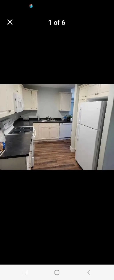 2 bedrooms  apartment for rent Image# 1