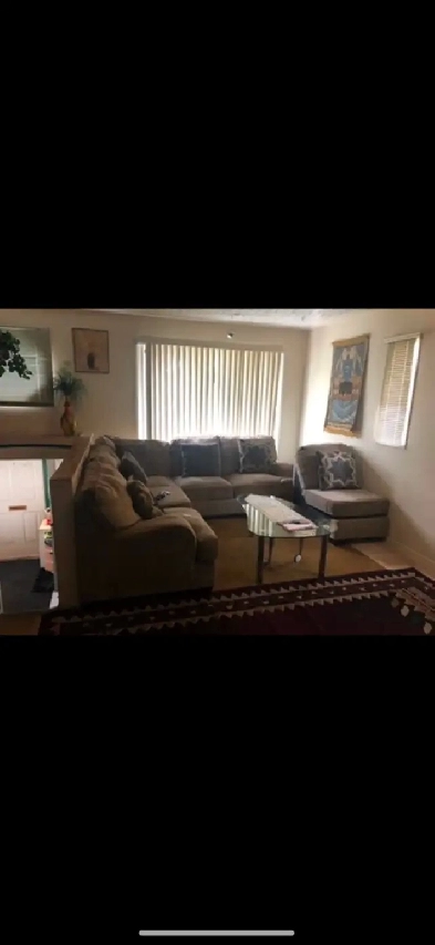 Room for Rent Close To Whitehorn LRT Immediately Image# 10