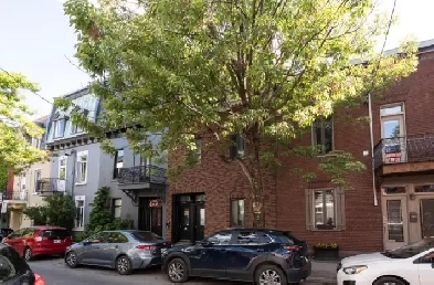 4 ½ Appartement dans un Immeuble Historique – Plateau Mont-Royal Image# 7