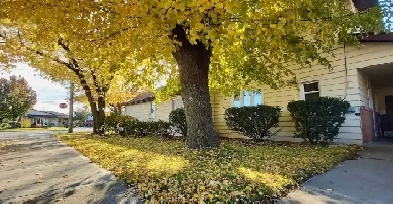 House apt, above ground, Hamilton Mtn, 2 bed,$200 signing bonus! Image# 1