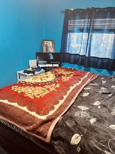 Rooms for rent Image# 2