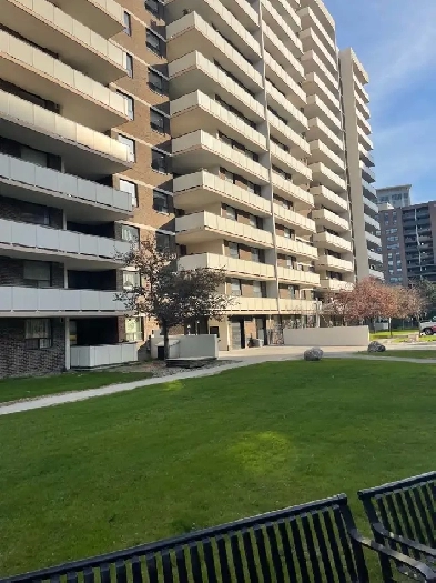 3 bed 2 washroom appartment available Image# 8