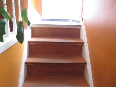 Newly renovated 1 bedroom basement apartment for rent Image# 2