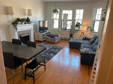 Cozy Summer Sublet Downtown Montreal Image# 1