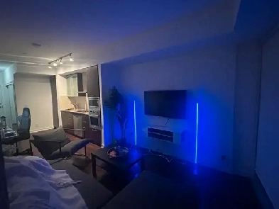 Furnished 1 Bedroom   Den Condo at ICE | Great View   2 TVs Image# 5