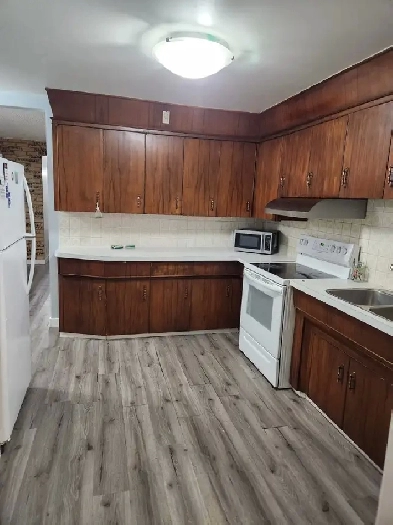 Two Bedroom One Bath House Main Floor Suite Image# 4