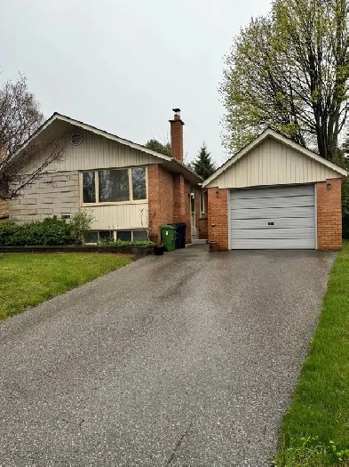 2 Bedroom, 1 Washroom - All Inclusive Basement Apartment! Image# 4