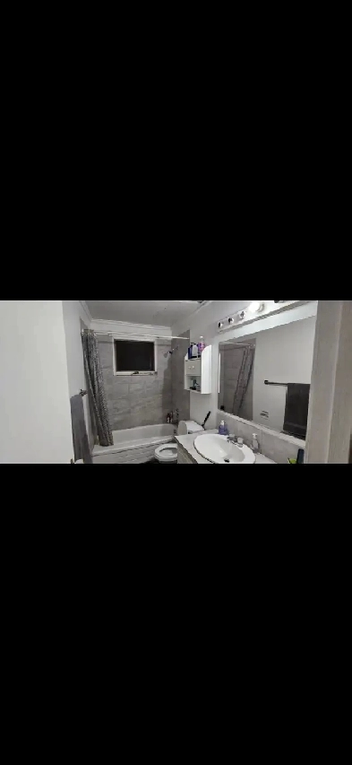 Room for Rent Close To Whitehorn LRT immediately Image# 4