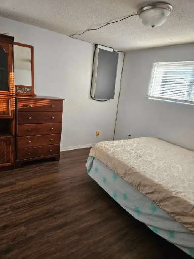 room for Rent Image# 2