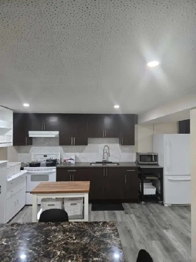 Fully Furnished, Walk Out Basement for Rent in Malbrough Area. Image# 1