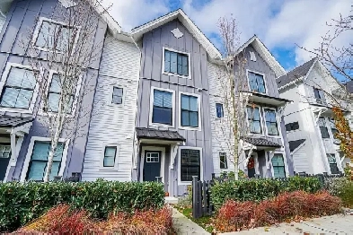 Townhouse for Rent : 3.5 Br and 2.5 Ba starting June 1 Image# 7