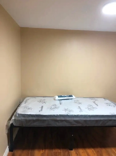 Spacious Basement Room for Rent Image# 17