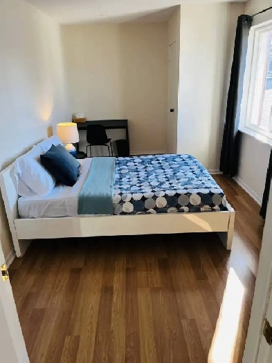 Privet room for male Image# 1