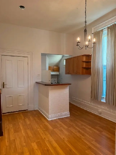 ONE BEDROOM APARTMENT FOR RENT - AVAILABLE IMMEDIATELY Image# 2