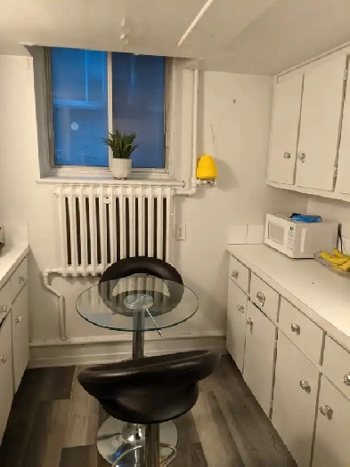 Coloc cote des neiges Image# 1