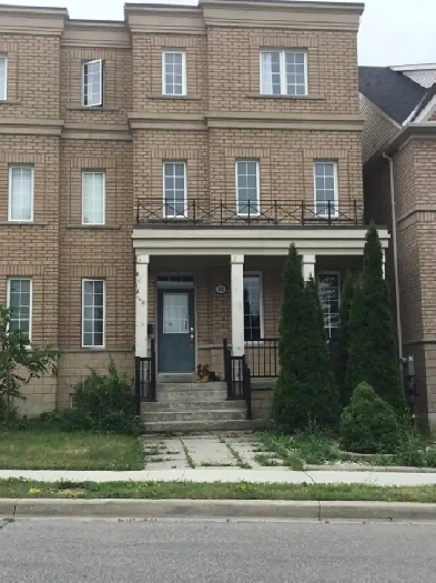 Basement apartment York University area-great for students Image# 6