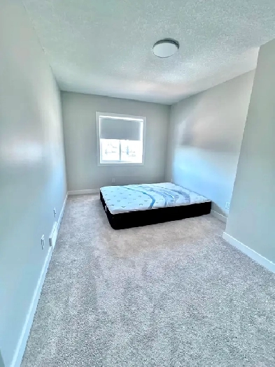 Room for rent in the house Image# 2