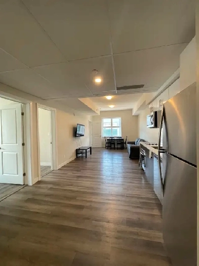 Room for Rent in Three Bedroom Apartment near uOttawa Sandy Image# 8