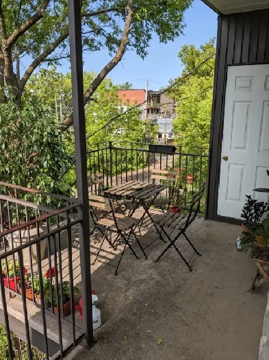 Joli 5 ½ lumineux avec terrasse à 7 min du métro Joliette Image# 2