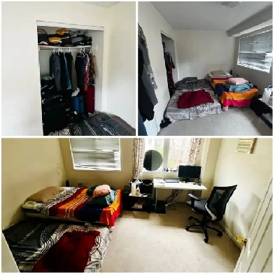 Room for rent near centennial and canadore college from June 1st Image# 1