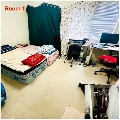 Private Room in for rent near centennial college from June 1st Image# 1