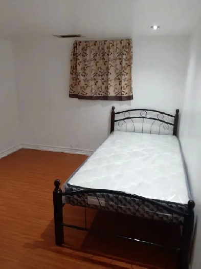 Basement Private Room (Scarborough)- June 1st Image# 1