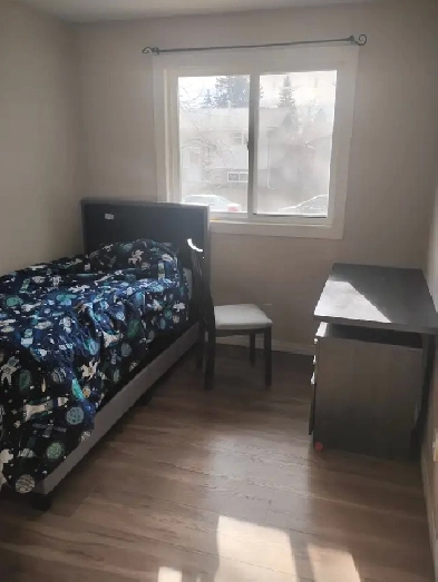 One bedroom for rent Image# 5