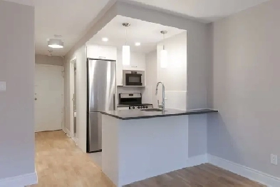 Studio Renovated w/Balcony Beside McGill - ID 438 Image# 1