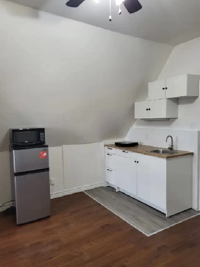 BACHELOR APARTMENT WITH WALKOUT BALCONY IN A HOUSE Image# 8
