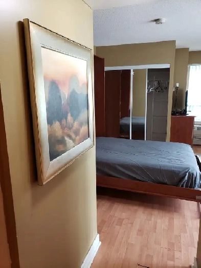 CONDO Studio fully furnished short or long term Yonge & Sheppard Image# 8